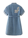 Ladies Auspicious Beast Qilin Chic Denim Qipao Dress